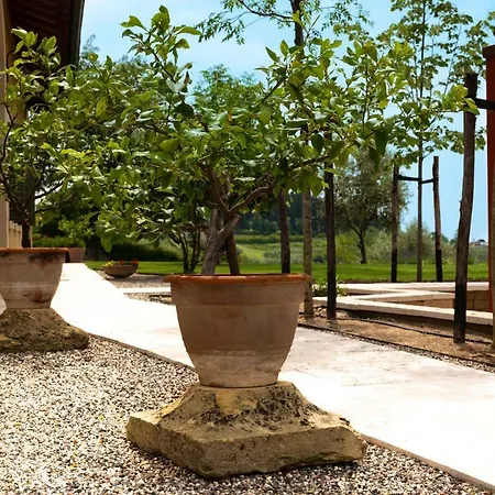 Sommavalle Farma *