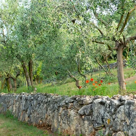 Sommavalle * Verona